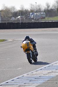 debutant (7)